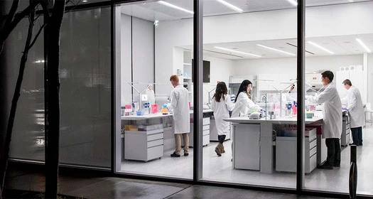 Wissenschaftler im Labor