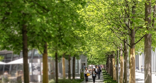 Životní prostředí, sociální a správní aspekty