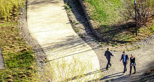 Зелена алея