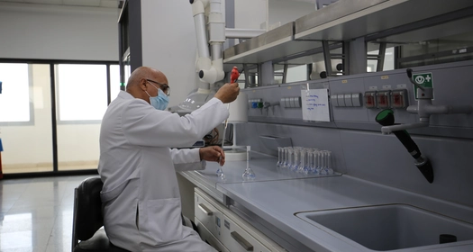 Homepage Novartis in Egypt