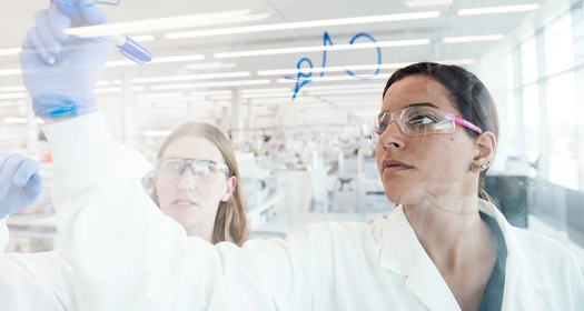 Investigación y desarrollo